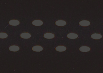 BRN Nastro Dots-grigio